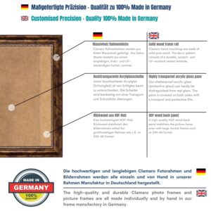 clamaro-rom-braun-bilderrahmen-barockrahmen-4