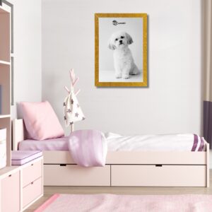 Funtktionsbild Glitzer Weiß_Gold